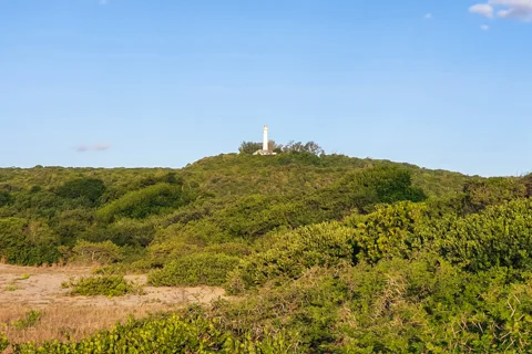 Activities & Excursions | Nahyeeni Lodge