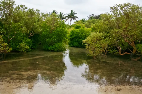 Activities & Excursions | Nahyeeni Lodge