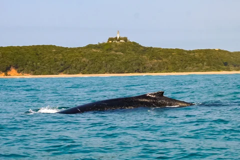 Activities & Excursions | Nahyeeni Lodge