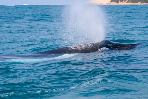 Activities & Excursions | Nahyeeni Lodge